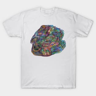 Rainbow deer T-Shirt